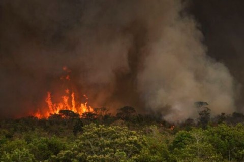 Desmatamento na Amazônia dispara 92% em maio e escancara crise interna no governo
