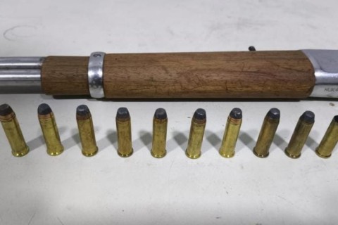 Idoso dispara acidentalmente contra amigo durante caça a javalis
