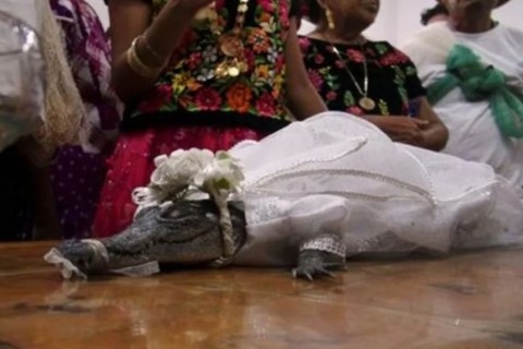 Prefeito mexicano "se casa" com jacaré em ritual bizarro de 230 anos: “É único no mundo”
